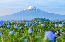 Mt Fuji Pilgrimage Full Day Tour with 7 Must See Scenic Spots