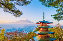 Mt Fuji Pilgrimage Full Day Tour with 7 Must See Scenic Spots
