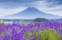 Mt Fuji Pilgrimage Full Day Tour with 7 Must See Scenic Spots