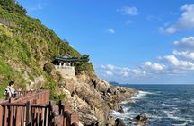 Gangneung Sightseeing Day Tour