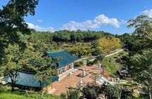 Gangneung Sightseeing Day Tour
