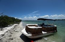 4 Hour Private Boat Tour 