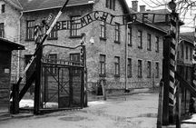 Auschwitz Birkenau minivan private van tour from Krakow