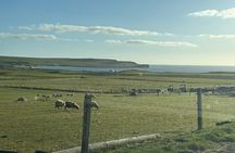  Orkney Island Tour with Expert Guide 