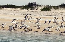 Masonboro Island Ferry