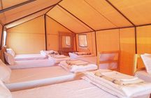 Douz Two Day Camel Trek with Overnight Camp in the Desert