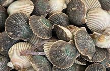 Premier Scalloping Adventure on Florida's Nature Coast