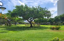 Kingston Cultural Tour Bob Marley Museum & Emancipation Park