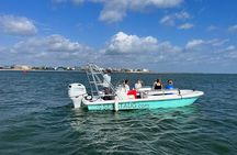 Dolphin and Nature Boat Excursion