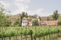 Private Temecula Wine Tour from Bonsall