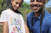 Birding for beginners