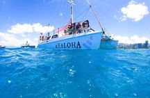 Waikiki Turtle Snorkeling Boat Tour and Adventure