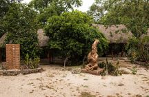 Authentic Mayan immersion : Family, gastronomy Ek Balam, Cenote