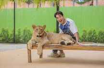  Lion Land Phuket Entry Ticket with Private Hotel Transfer