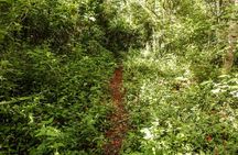 Authentic Mayan immersion : Family, gastronomy Ek Balam, Cenote