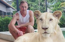  Lion Land Phuket Entry Ticket with Private Hotel Transfer