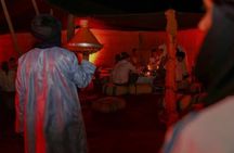 Marrakech: All-In-ONE Agafay CAMEL , DINNER, SHOW & TRANSPORT.