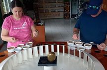 Explore Local Culture and Coffee Tour from Guanacaste