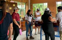 Explore Local Culture and Coffee Tour from Guanacaste