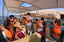 Paracas and Huacachina Full Day Adventure from Ica