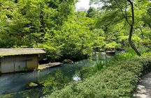 The Art of Beauty in Omotesando's Nezu Garden and Beni Museum