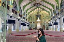 Big Bus Van Singapore City Tour 4 Hours ( Max 8 people) 