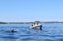 From Zadar to Best Snorkelling Spots: 2 x Shipwrecks & U-Boat Pen