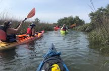 Guided Salt Marsh Kayak Tour