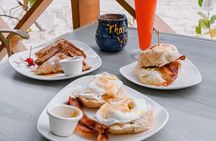 Carlisle Bay Swimming Horses Breakfast and Beach Day