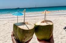Carlisle Bay Swimming Horses Breakfast and Beach Day