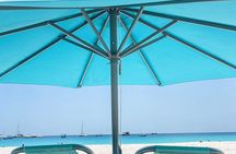 Carlisle Bay Swimming Horses Breakfast and Beach Day