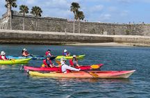 Guided Salt Marsh Kayak Tour