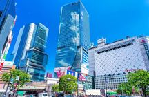 Perfect for First-Time Visitors Private Tokyo Highlights Tour