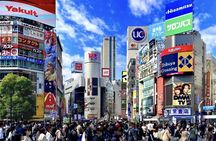 Perfect for First-Time Visitors Private Tokyo Highlights Tour