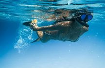 Tenerife Paddle Surf and Snorkeling Experience