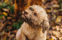 Truffle hunting for Nature Enthusiasts