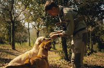 Truffle hunting for Nature Enthusiasts