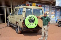 1 Day Uganda Gorilla Trekking at Mgahinga National Park