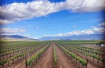 Shared Temecula Wine Tour from Tustin