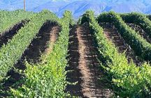 Private Temecula Wine Tour from Anaheim