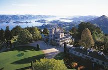 Dunedin Shore Excursion City Sightseeing & Tour of Larnach Castle