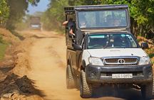 Yala 4h Jeep Safari: Guided Wildlife Experience (All Inclusive) 