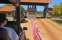 Yala 4h Jeep Safari: Guided Wildlife Experience (All Inclusive) 