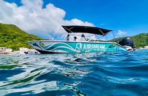 Speed Boat Dolphins and Turtles Full Day