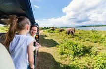Udawalawe Elephant Safari: 3h Jeep Adventure (All Inclusive)