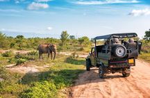 Udawalawe Elephant Safari: 3h Jeep Adventure (All Inclusive)