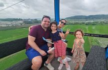 Free style private Tour(Essence of Seoul city or DMZ)