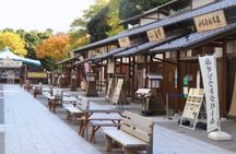 Nagoya Castle and Local Flavor Samurai Tales and Street Food Walk