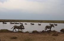 5-Days Private Mid-range Safari