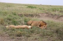 5-Days Private Mid-range Safari